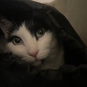 Meet your Posher, Willow